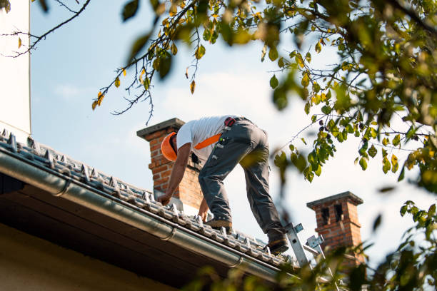 Best Solar Panel Roofing Installation  in Groesbeck, TX